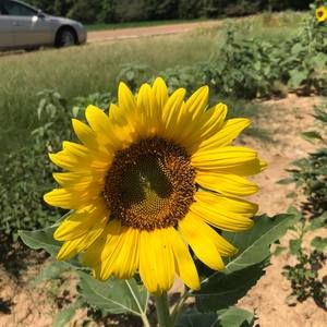 Meet your Posher, Michele